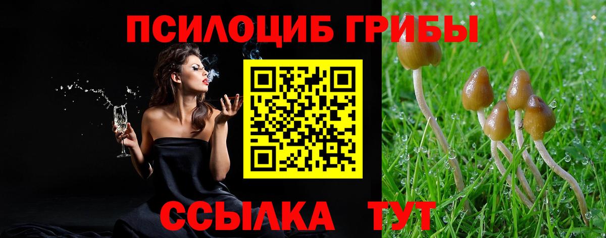 Псилоцибиновые грибы Psilocybe  Псилоцибиновые грибы прущие грибы  Санкт-Петербург  Вход с VPN 