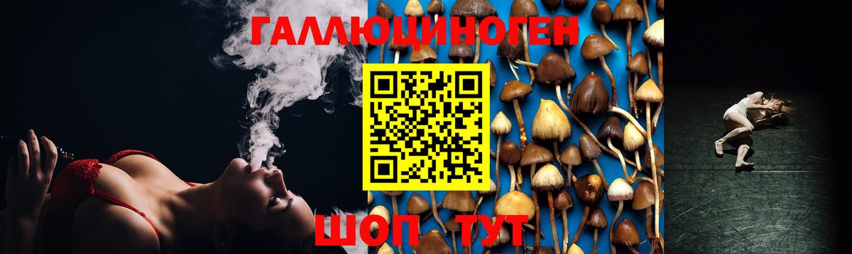 Псилоцибиновые грибы мицелий Санкт-Петербург